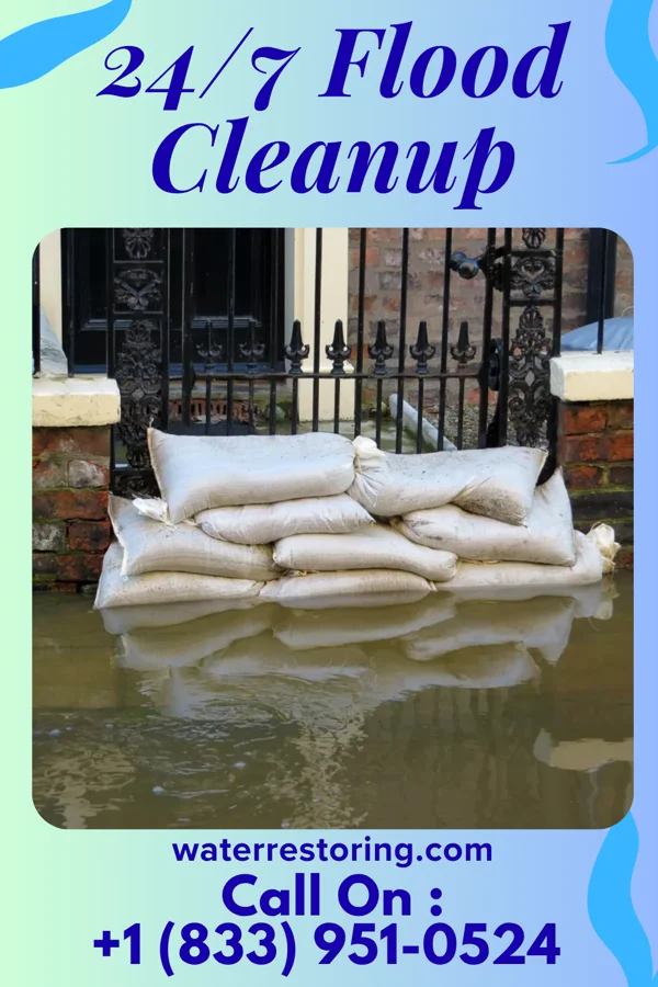 24/7 Flood Cleanup in Palisades, TX