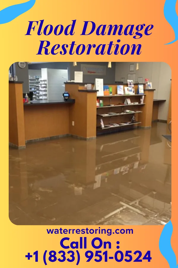 Flood Damage Restoration in Palisades, TX