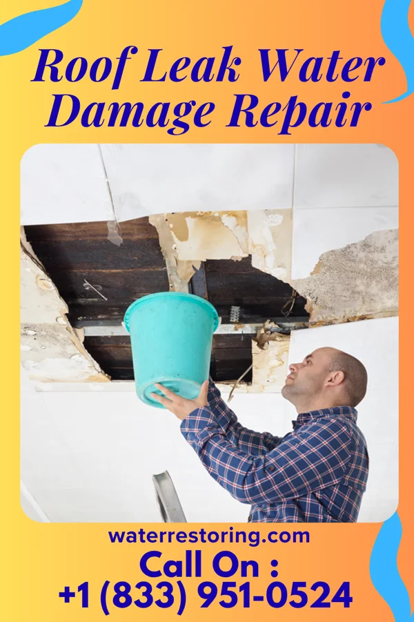Roof Leak Water Damage Repair in Palisades, TX